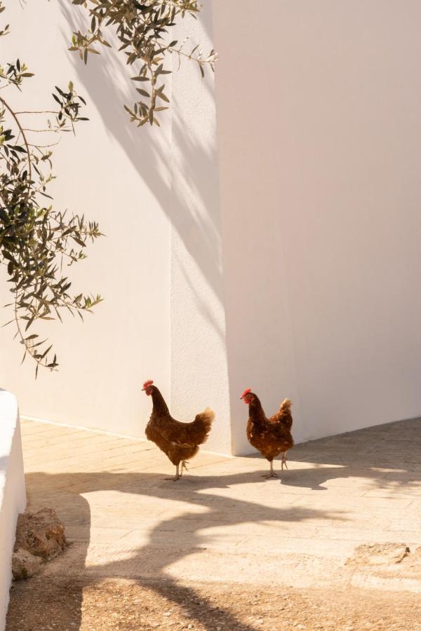 Sikalindi Apulia Villa Gagliano del Capo Eksteriør billede